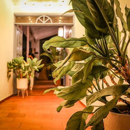 Aura Hotel Parque Barichara By Infinity المظهر الخارجي الصورة